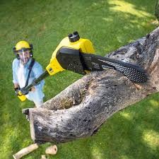 Best Lawn Renovation and Restoration  in Weddington, NC